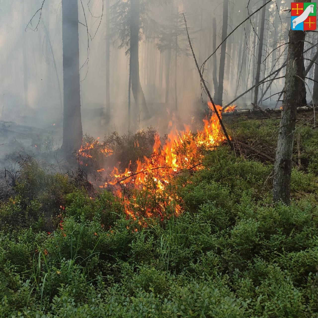 правила пожарной безопасности.